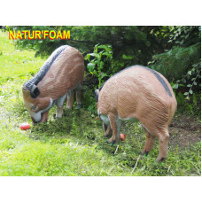 Natur Foam WILD BOAR VERMILLANT